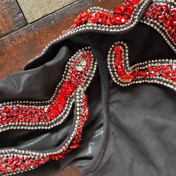 Era's Tour Taylor Swift Costume - Black with red snakes - Picture 2 of 4